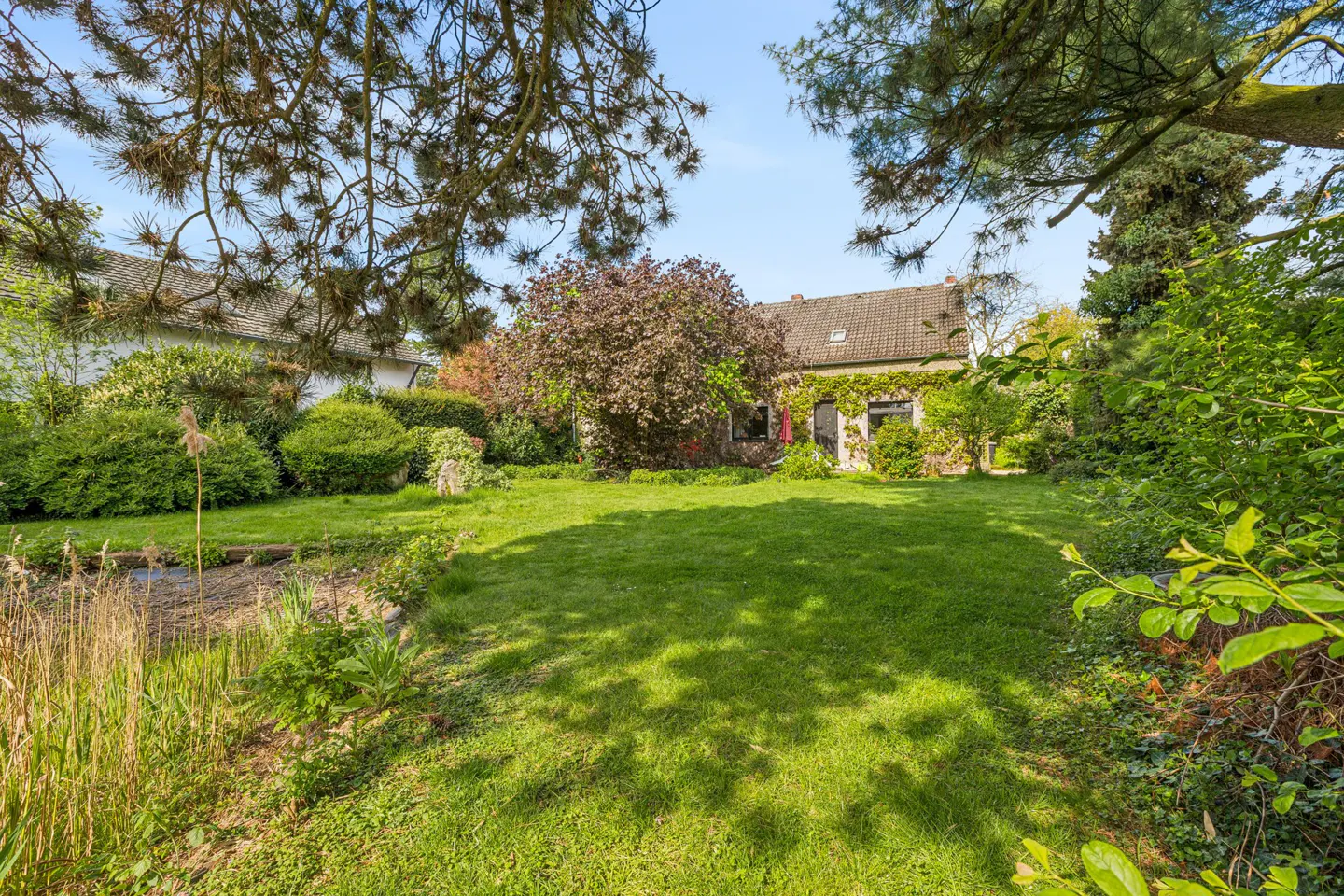 Lush green lawn and garden lead to a stone house with ivy, under a blue sky with tree branches overhead.