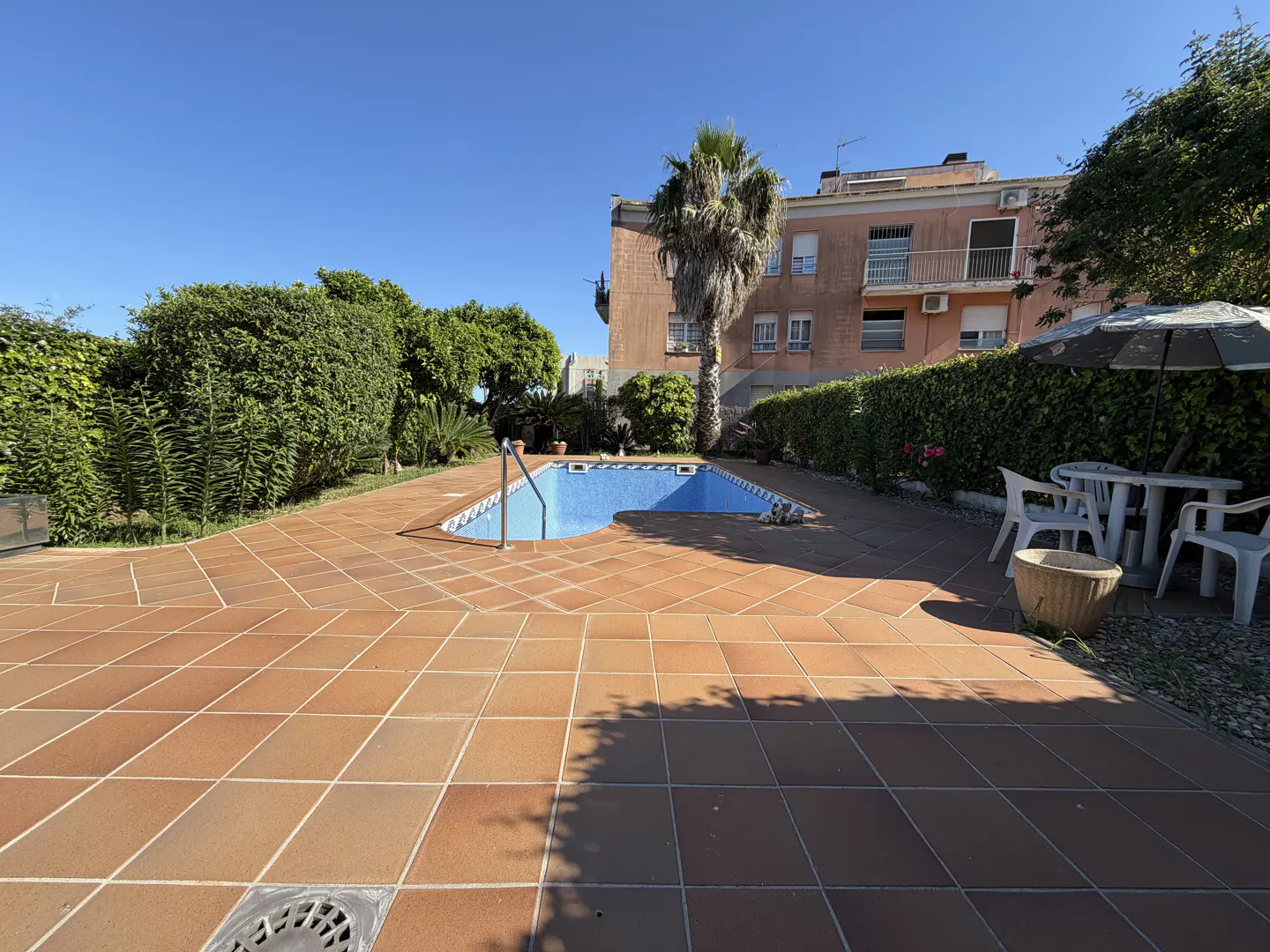 Outdoor pool area with brown tile, blue pool, green hedges, palm tree, and white table with chairs.