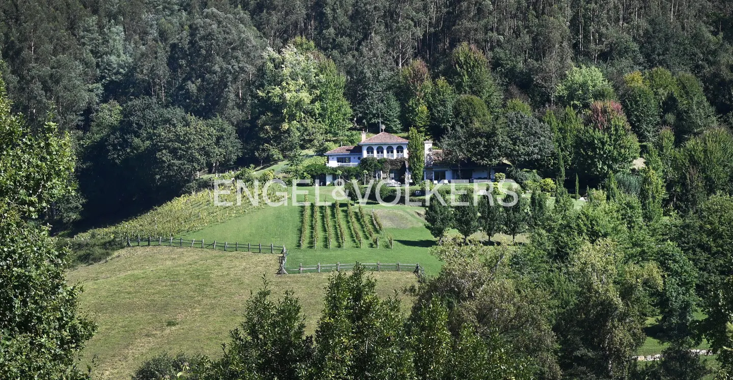 Estate view of a white house with a red tile roof, surrounded by green trees and a vineyard. "Engel & Volkers" is overlaid on the image.