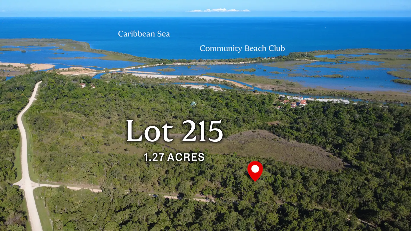 Aerial view of Lot 215, 1.27 acres, near Community Beach Club and Caribbean Sea. Red marker indicates lot location.