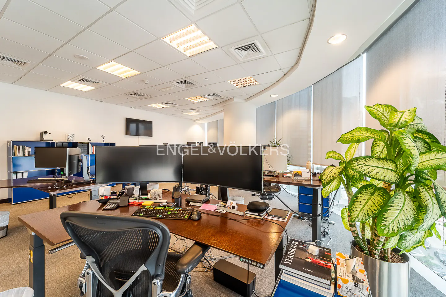 Modern office with a large wooden desk, dual computer monitors, ergonomic chair, and a large potted plant by the window.