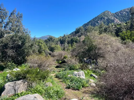 Landscape view of a mountain trail with green trees, shrubs, and rocks under a clear blue sky.