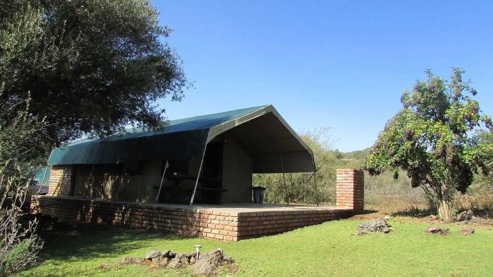 Safari Tents
