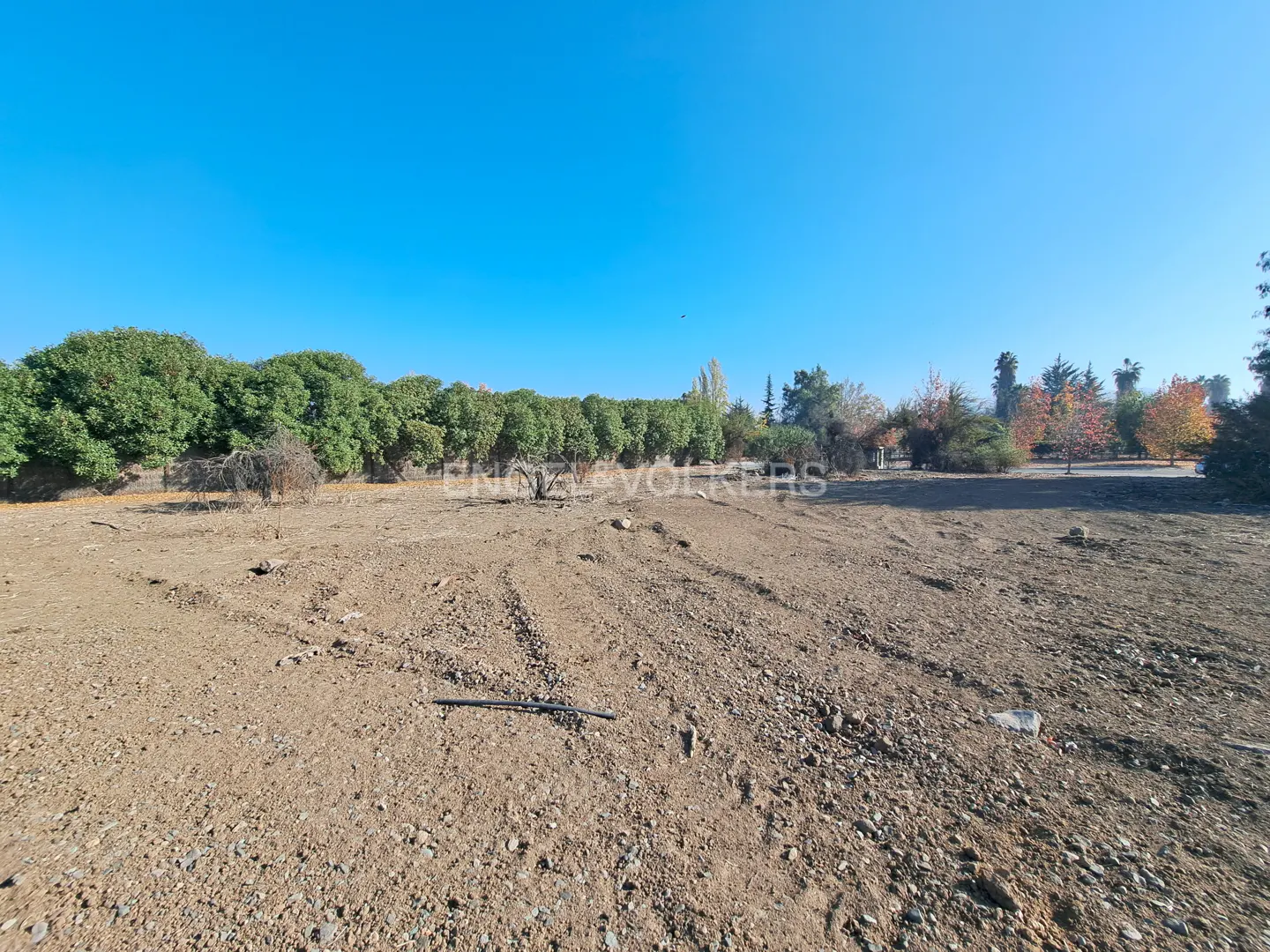Vacant lot with dirt ground and tire tracks, bordered by green trees under a clear blue sky.