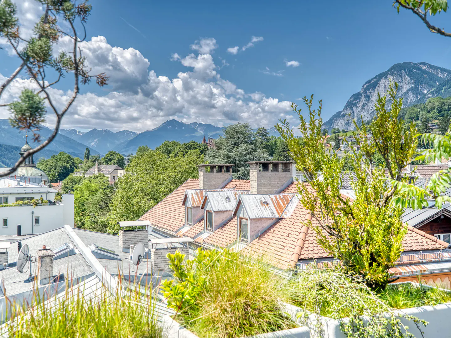 View from a rooftop with green plants, overlooking a town with mountains in the background on a sunny day.