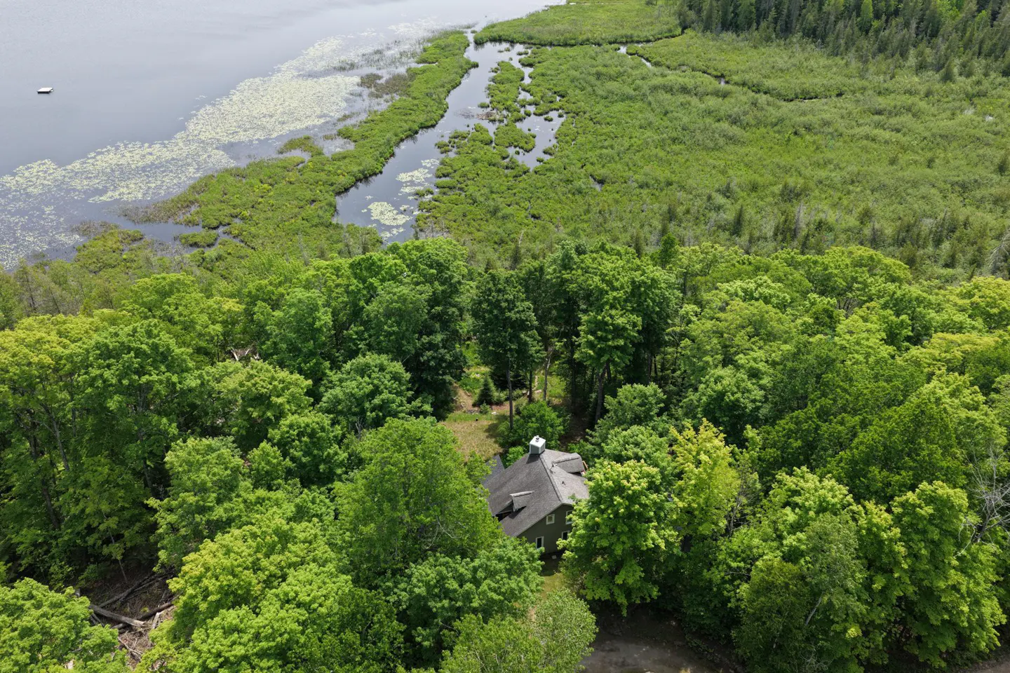 Aerial view of a house nestled in a dense green forest next to a lake with marshy, lily-pad-filled shoreline.