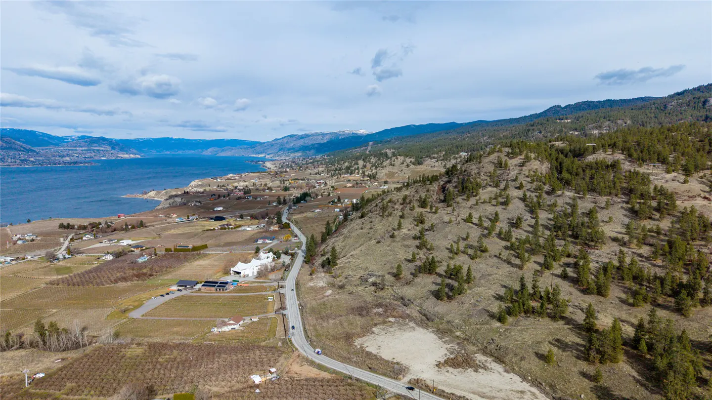 Aerial view of a lakefront property with vineyards, homes, and a winding road next to a mountain.