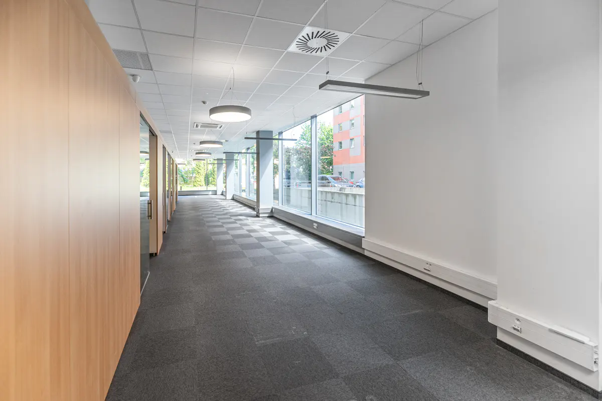 Modern office hallway with light wood paneling, gray checkered carpet, and large windows overlooking a city street.
