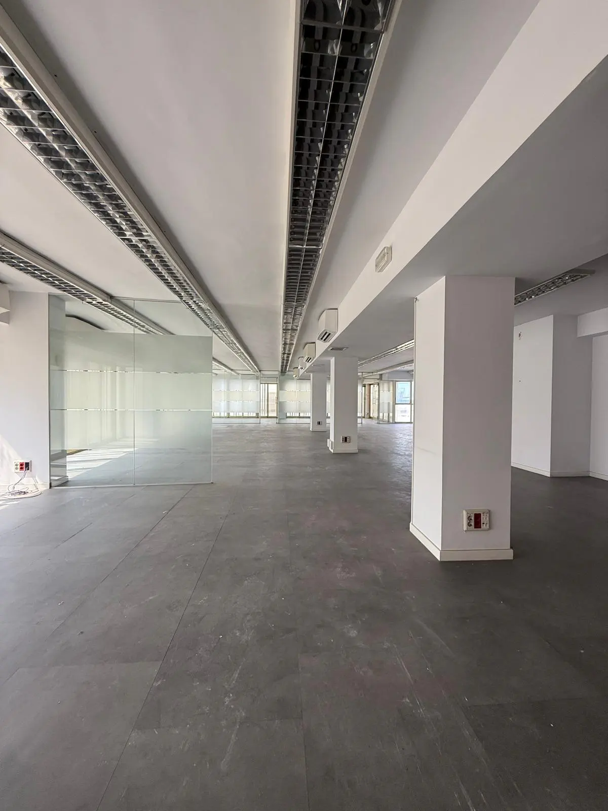 An empty, bright office space with gray floors, white walls, and large windows. Columns support the ceiling with exposed lighting fixtures.