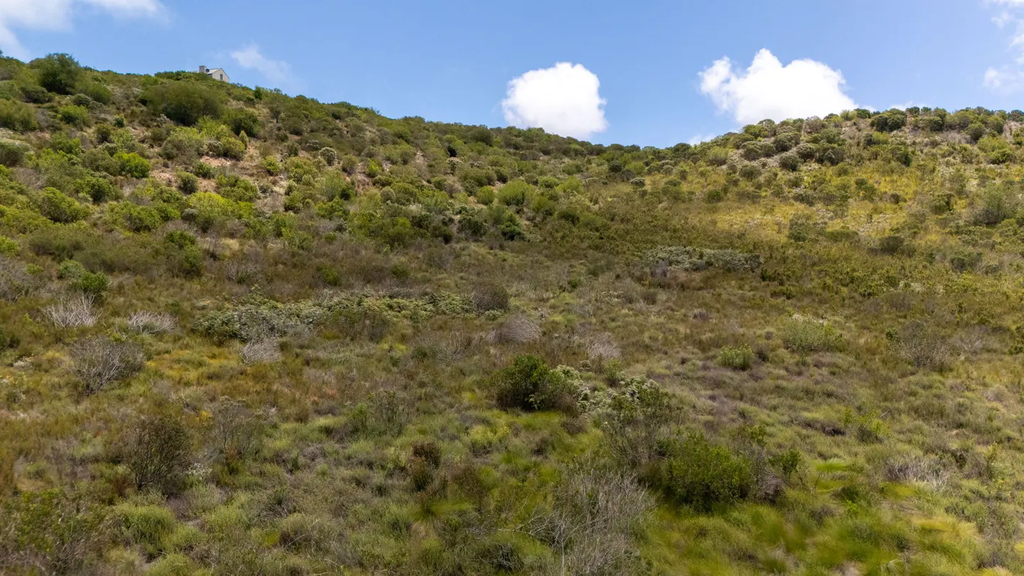 Pezula Private Estate