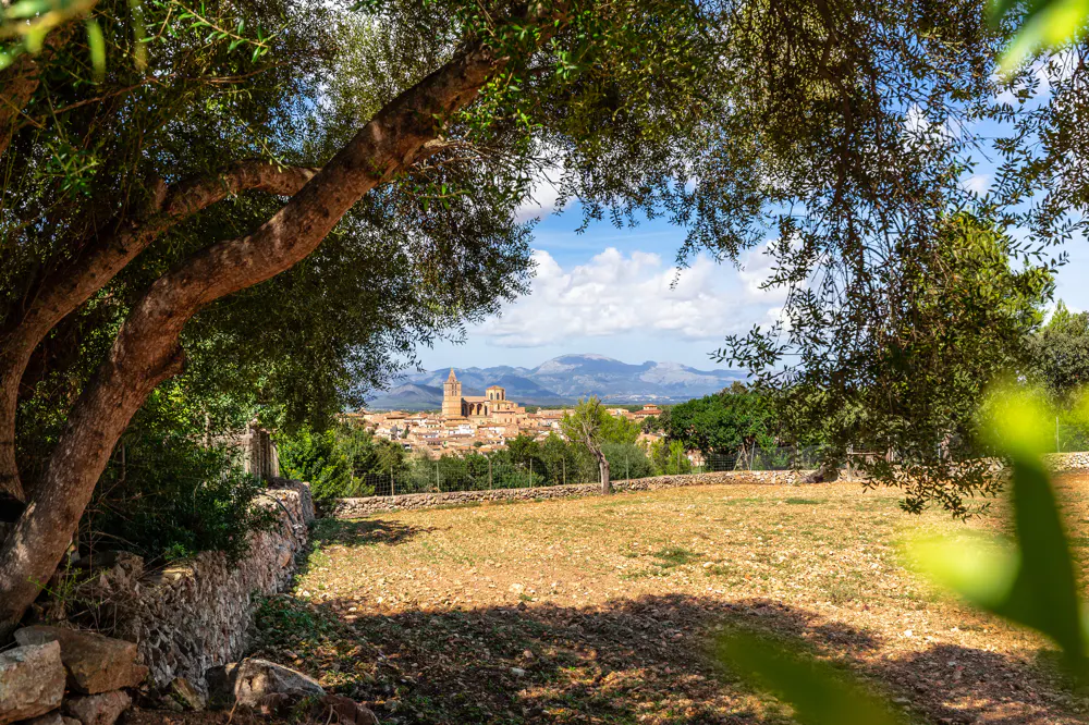 View of a town with a tall church spire, framed by trees and a stone wall in the foreground, with mountains in the distance.