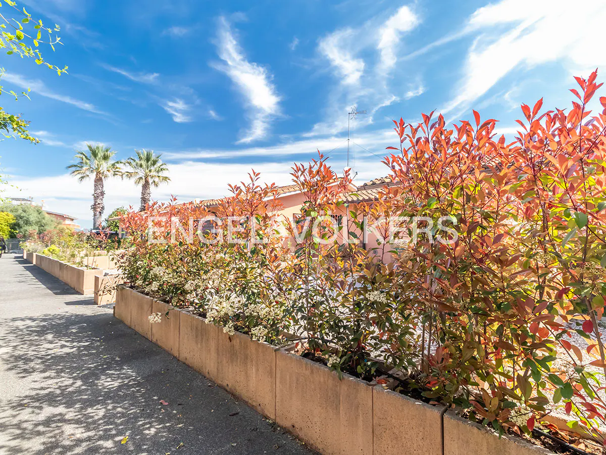 Exterior view of a property with a sidewalk, planters with red-tipped bushes, and palm trees against a blue sky.