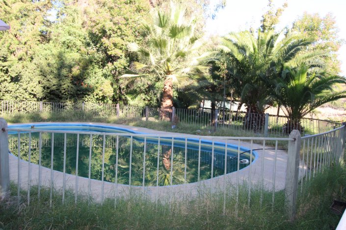 Outdoor pool with blue trim, surrounded by a metal fence and overgrown grass. Palm trees and lush greenery in the background.