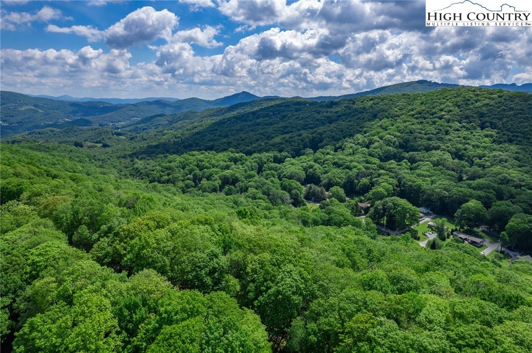 Plan your Dream Home for this Gorgeous Mountain Lot!