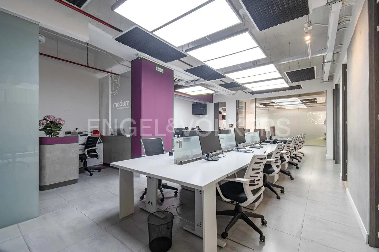 Bright office space with white desks, black and white chairs, and computers. Purple accent wall and gray floors.