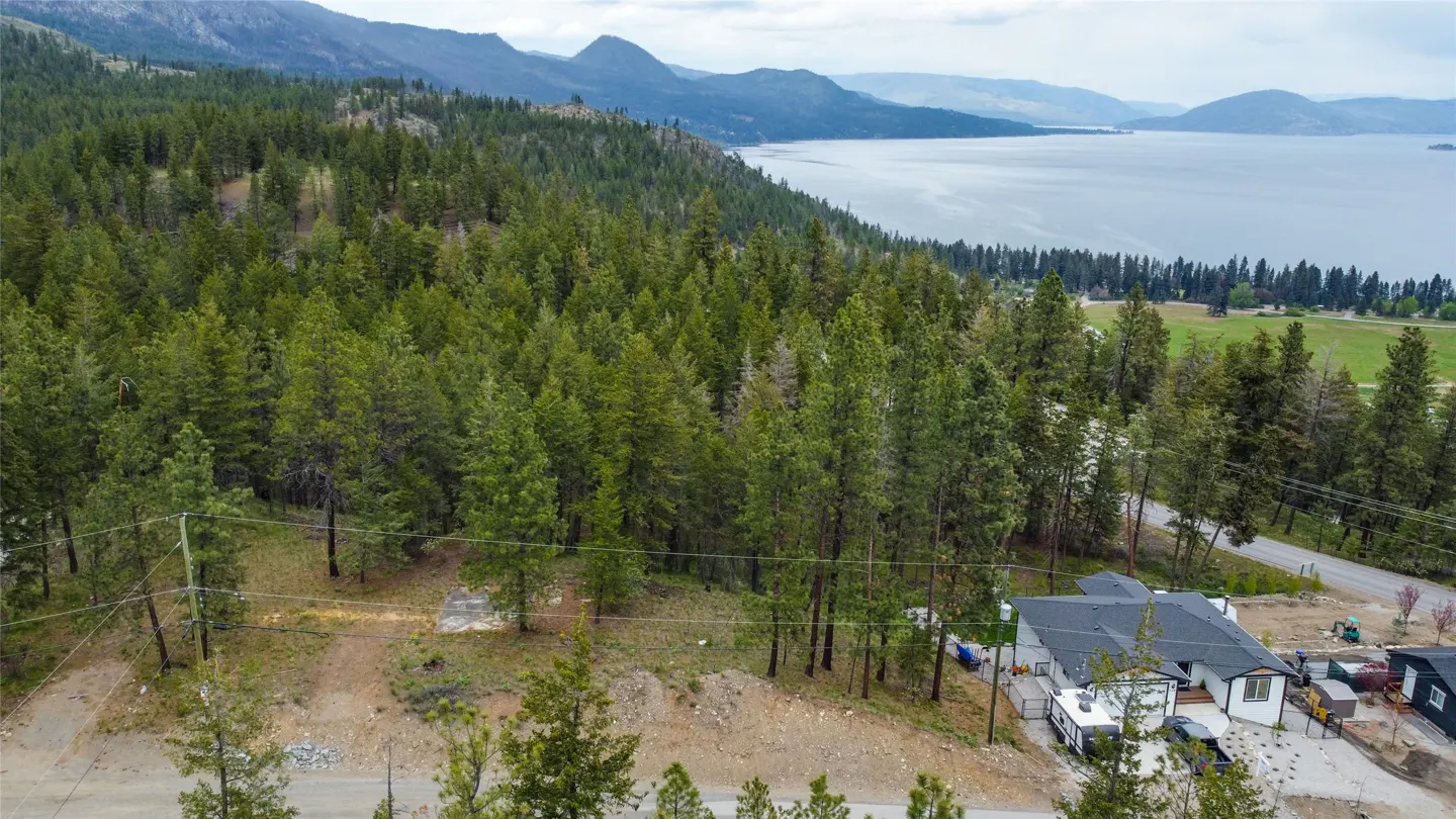 Aerial view of a modern house nestled in a forest, with mountains and a lake in the background.