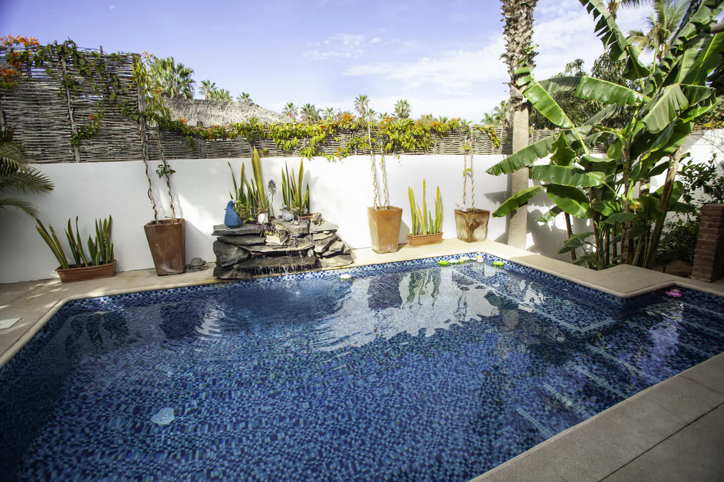 A backyard pool with blue mosaic tiles is surrounded by plants and a white wall with orange flowers.