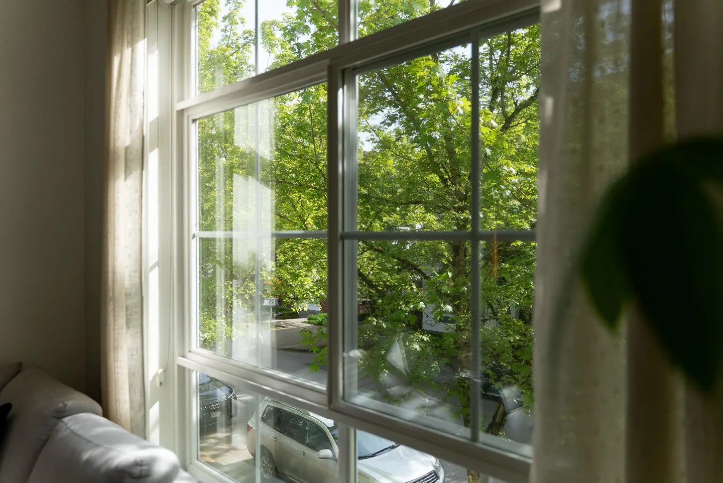 View from a bright, white-framed window with sheer curtains, overlooking green trees and a street with parked cars.