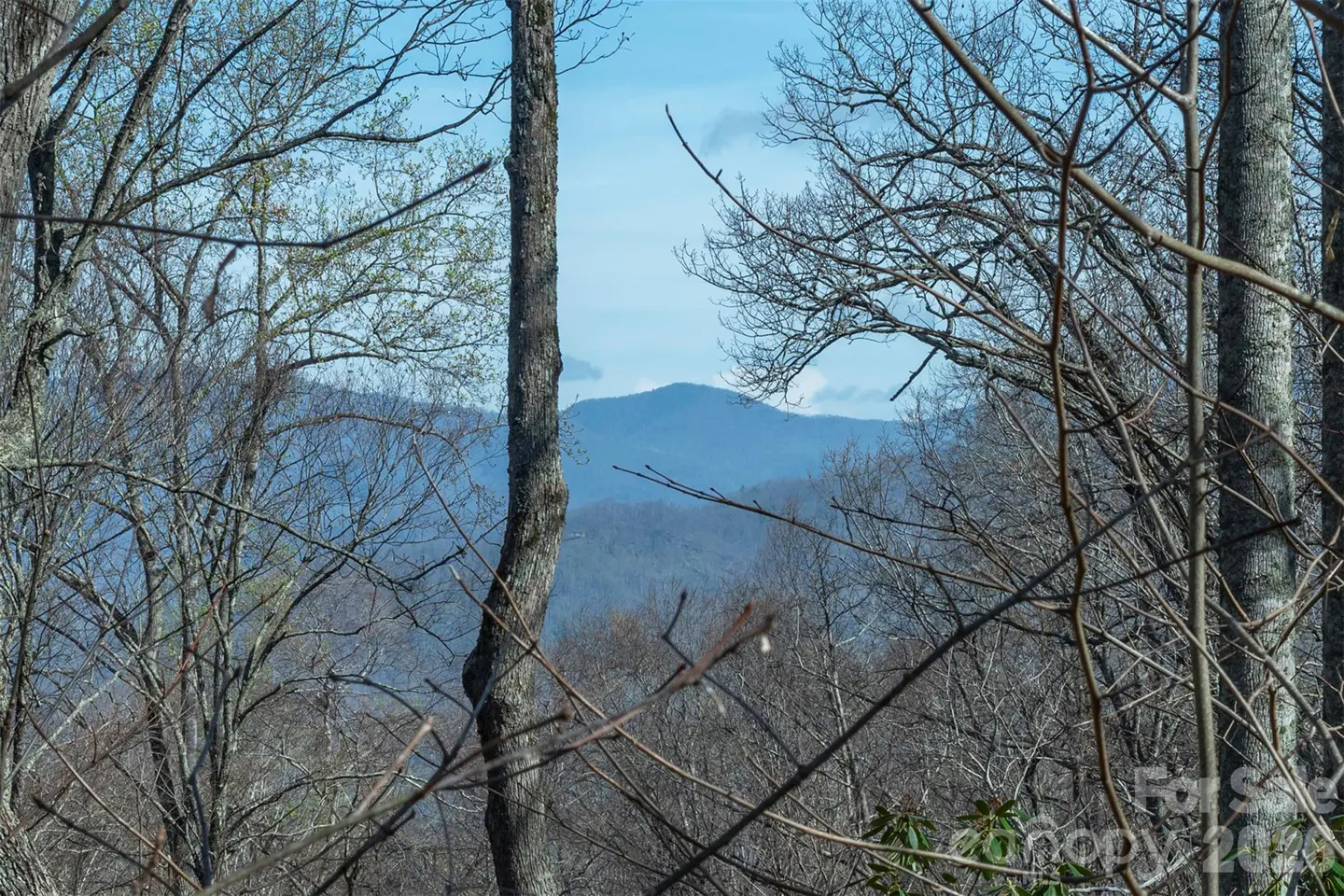 Mountain view through bare trees. Blue sky and distant mountain range. "For Sale" sign in lower right corner.