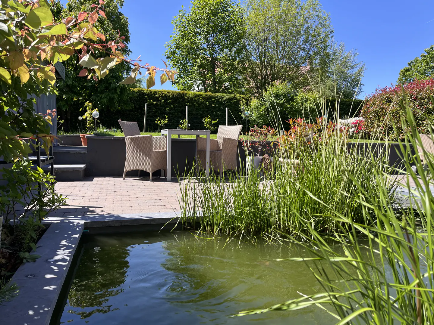 Outdoor patio with a pond, table, and chairs. Green plants and trees surround the area under a clear blue sky.