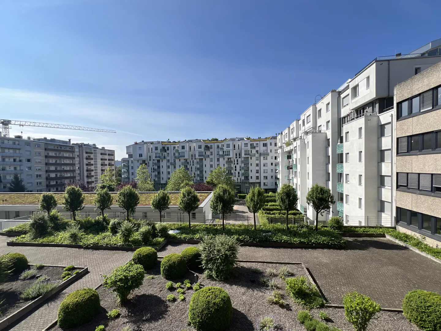 View of a modern apartment complex with a landscaped courtyard, manicured shrubs, and a clear blue sky.