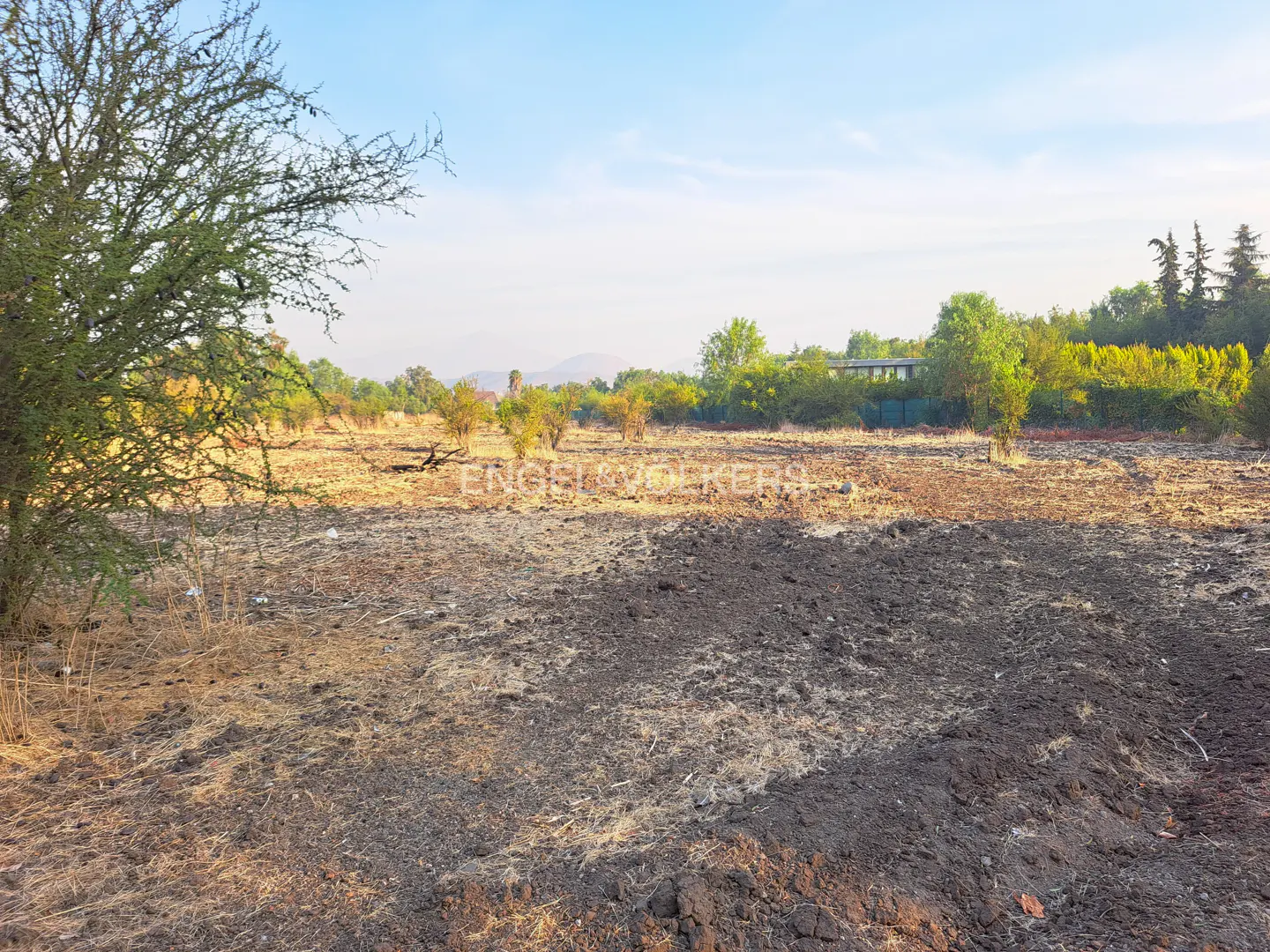Vacant land with dry grass and dark soil under a blue sky. Trees and shrubs line the back of the property.
