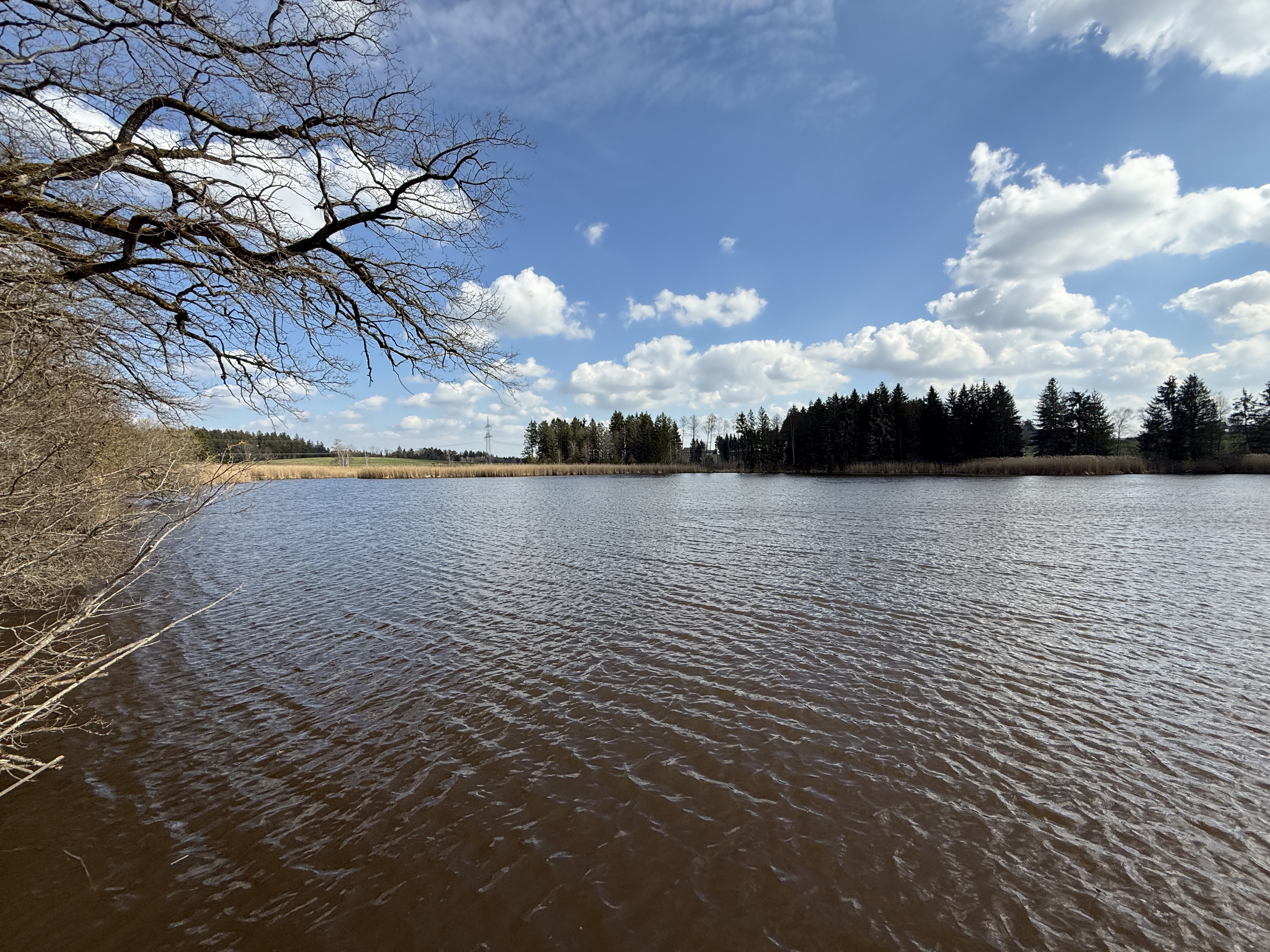 Naturschutzgebiet Premer Weiher bei Wolfegg im Ortsteil Rötenbach