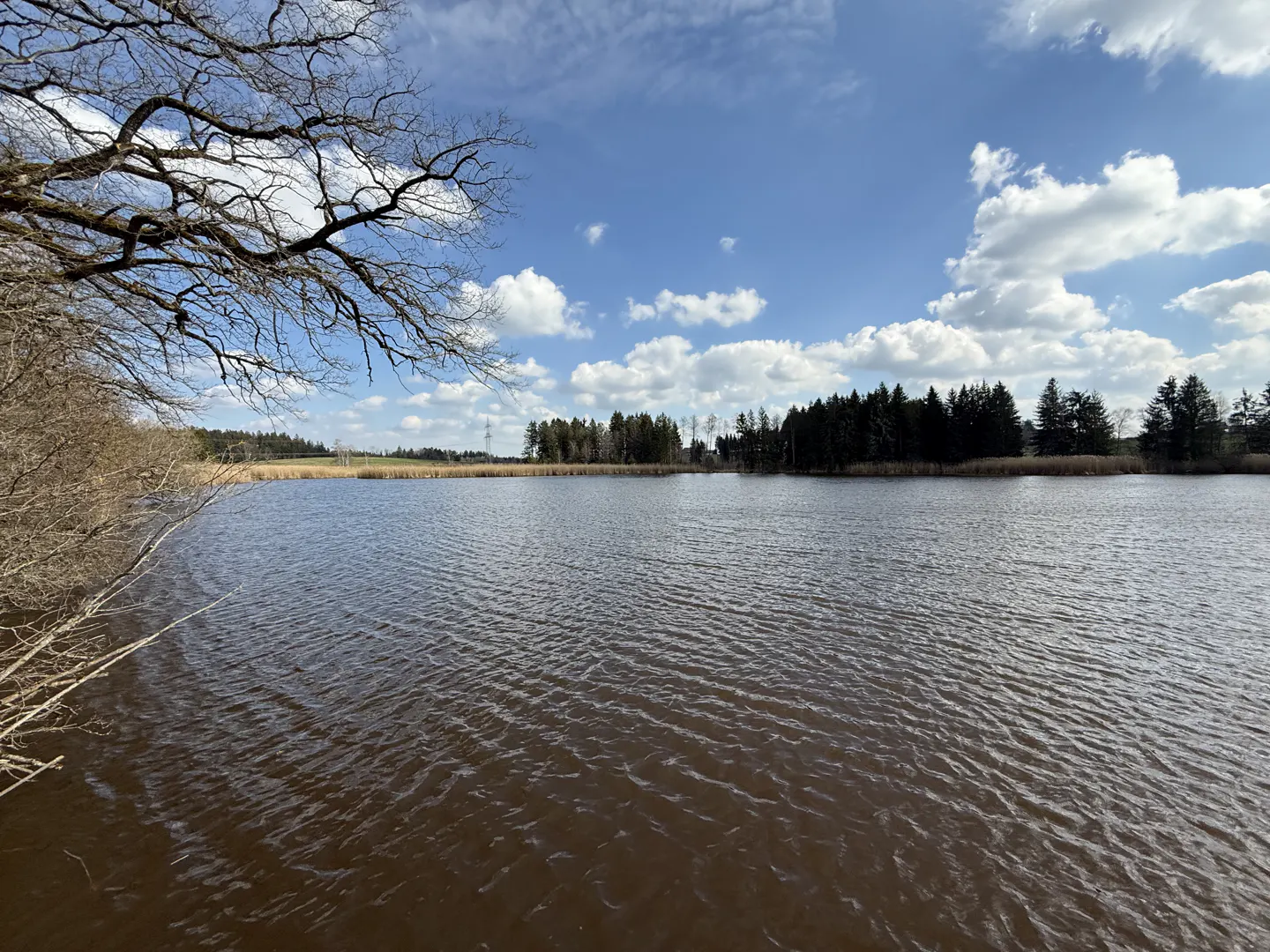 Scenic view of a calm lake with trees lining the shore under a blue sky with scattered white clouds.