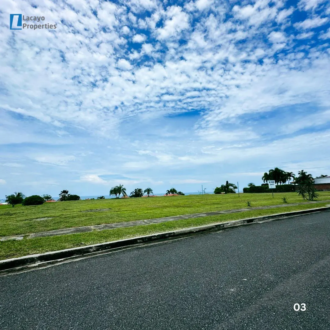 Vacant lot with green grass and palm trees under a blue sky with white clouds, near a road.