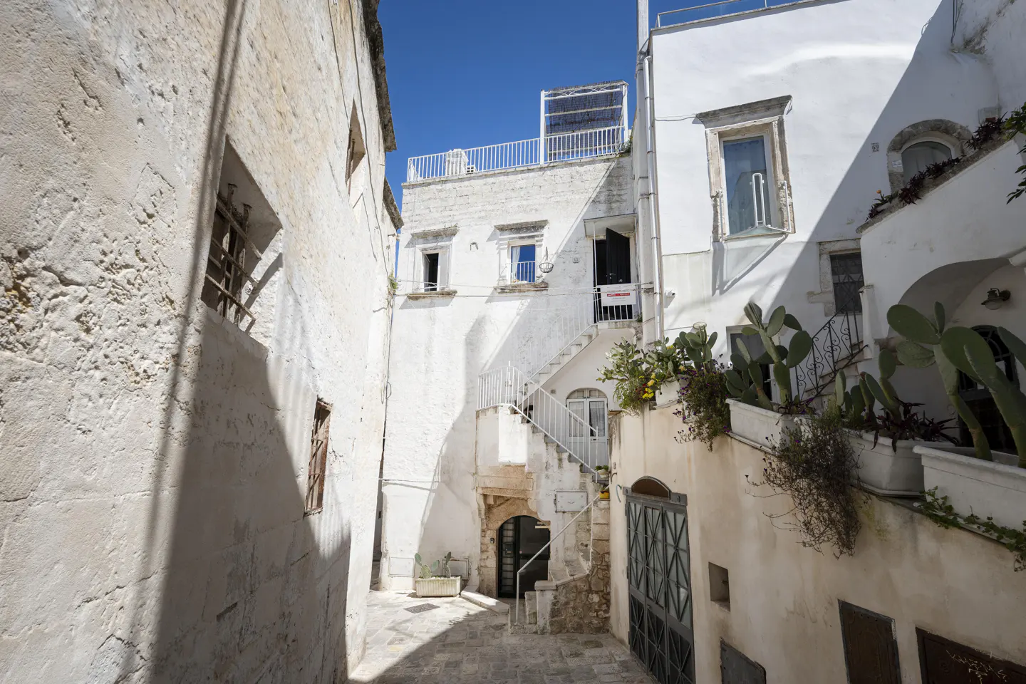 Narrow cobblestone street lined with white buildings under a bright blue sky. Stairs lead to a rooftop terrace. Cacti grow in planters.