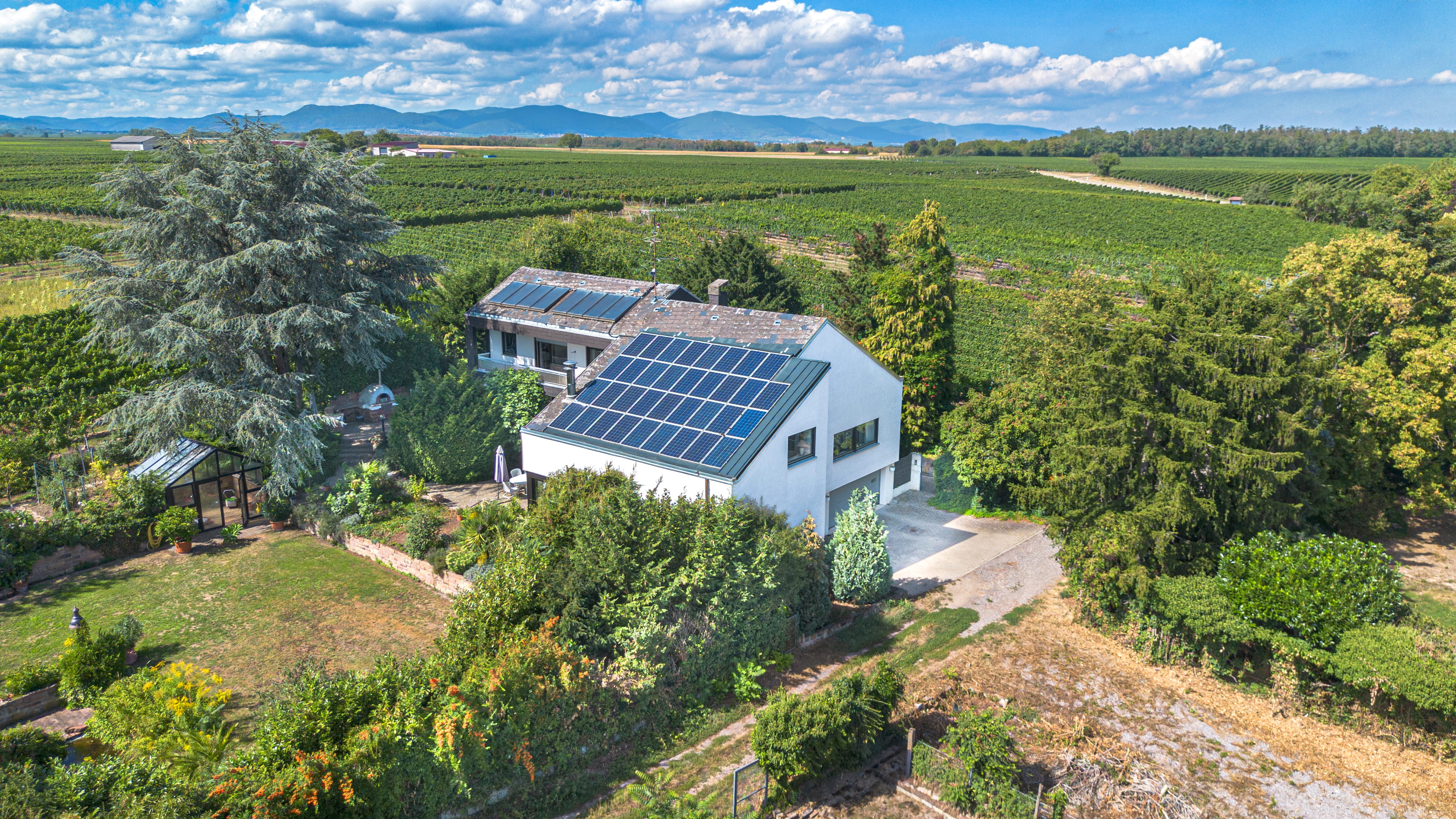 Spektakuläre Architektenvilla in Weinbergsrandlage mit vielen Details & Traumgrundstück!