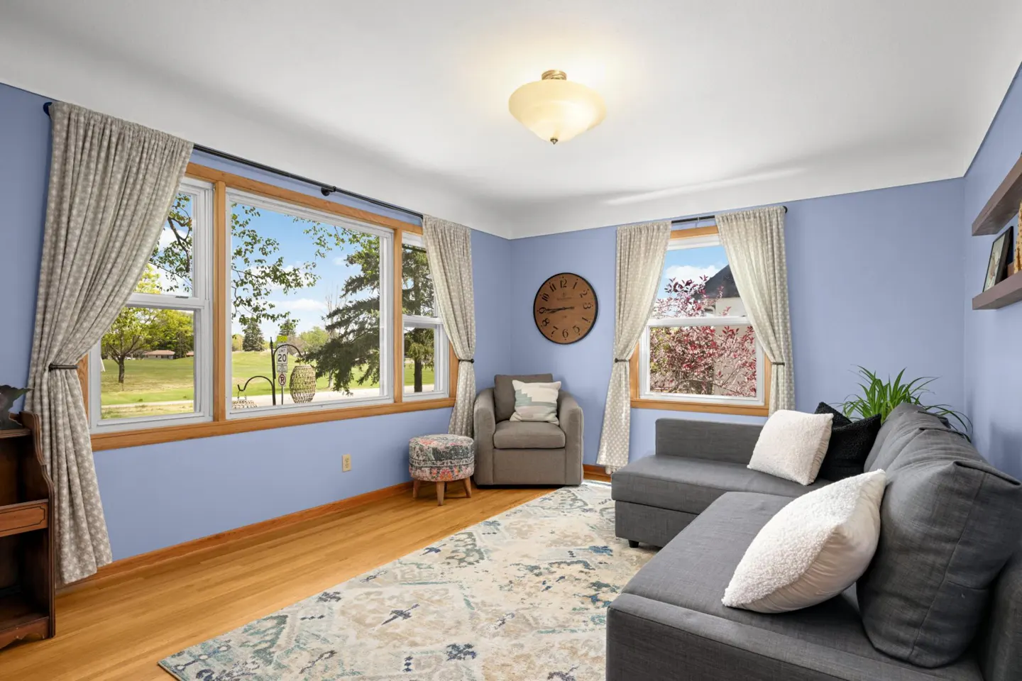 Living room with blue walls, hardwood floors, and a gray sectional sofa. Windows with curtains overlook a green lawn.