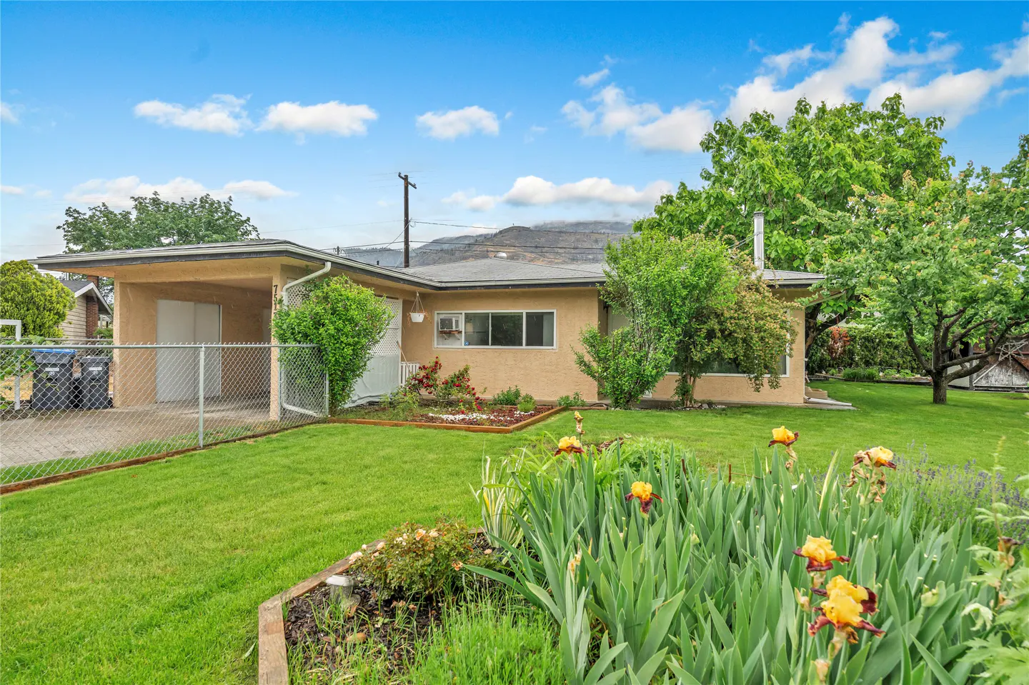 Single-story tan house with a carport, chain-link fence, and a front garden with yellow irises under a blue sky.