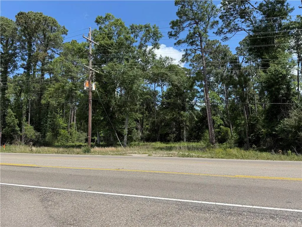 A vacant lot with tall green trees is next to a gray asphalt road with yellow lines. A utility pole stands on the lot.