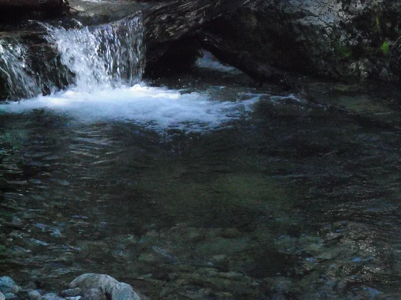 A small waterfall cascades into a dark, clear stream, with rocks visible at the bottom. Logs and foliage frame the scene.