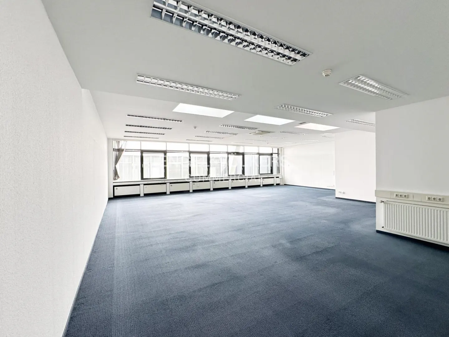 Bright, empty office space with blue carpet, white walls, and large windows. Fluorescent lights illuminate the room.