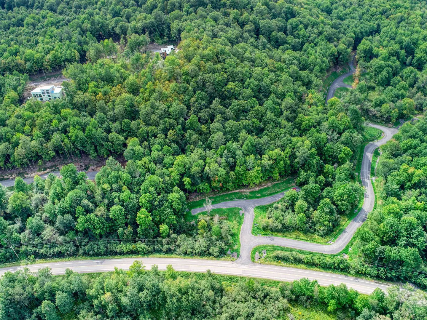 Aerial view of a winding road through a dense green forest with a few houses visible.