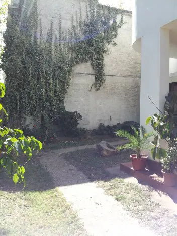 A garden with a stone path, grass, and potted plants leading to a white building with ivy climbing up the wall.