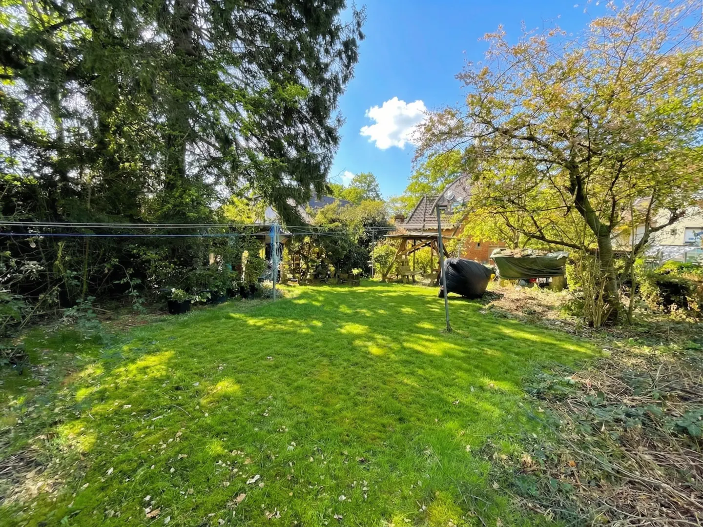 A sunny backyard with green grass, trees, and a blue sky with a white cloud. A clothesline and a covered structure are in the background.