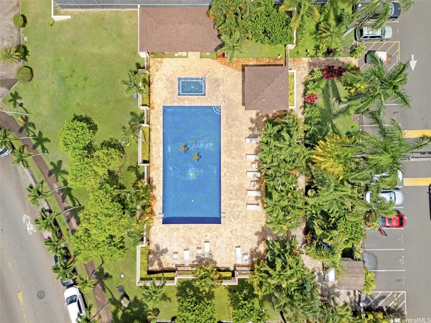 Aerial view of a rectangular blue swimming pool and hot tub surrounded by palm trees, lawn chairs, and a parking lot.