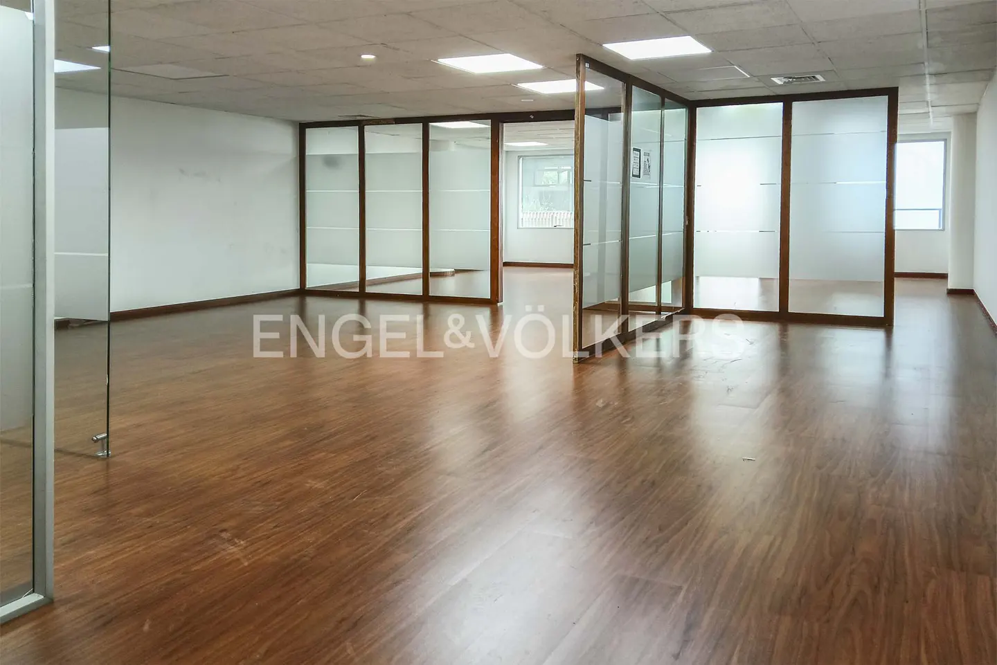 Empty office space with wood-look flooring and glass-partitioned rooms under recessed ceiling lights.