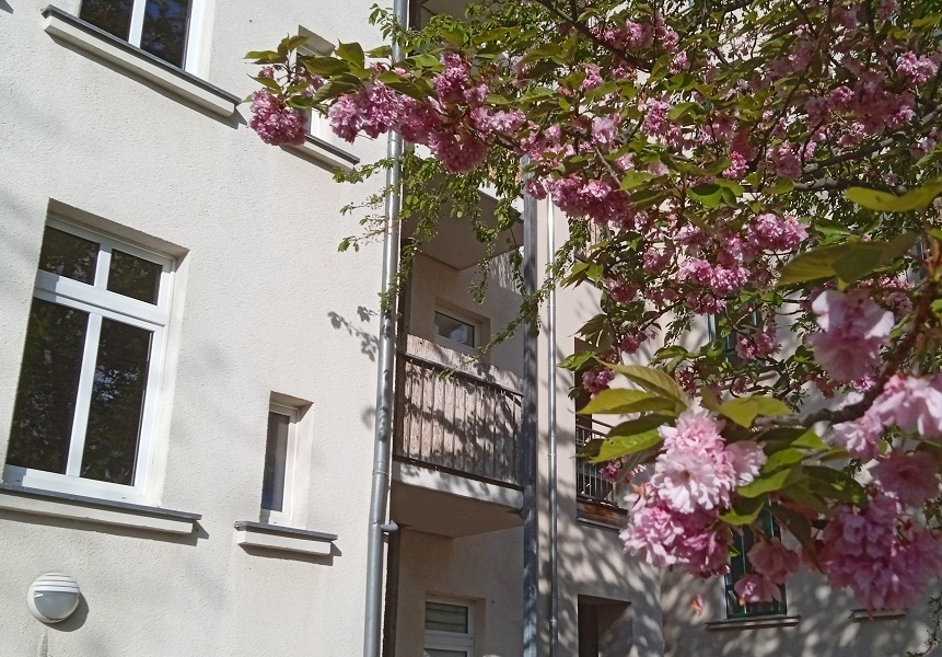 Gemütliche 2-Zimmer-Wohnung mit Balkon im sanierten Altbau