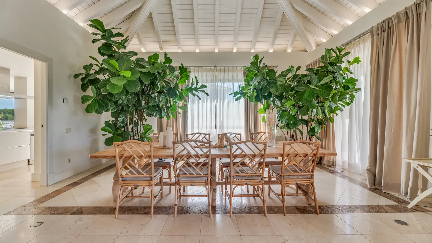 Bright dining room with a wood table, bamboo chairs, and large green plants. White walls, ceiling, and marble floors. Neutral curtains hang by the window.