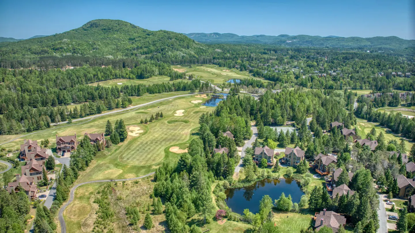 Aerial view of luxury homes nestled in a green forest, adjacent to a golf course and a small lake.