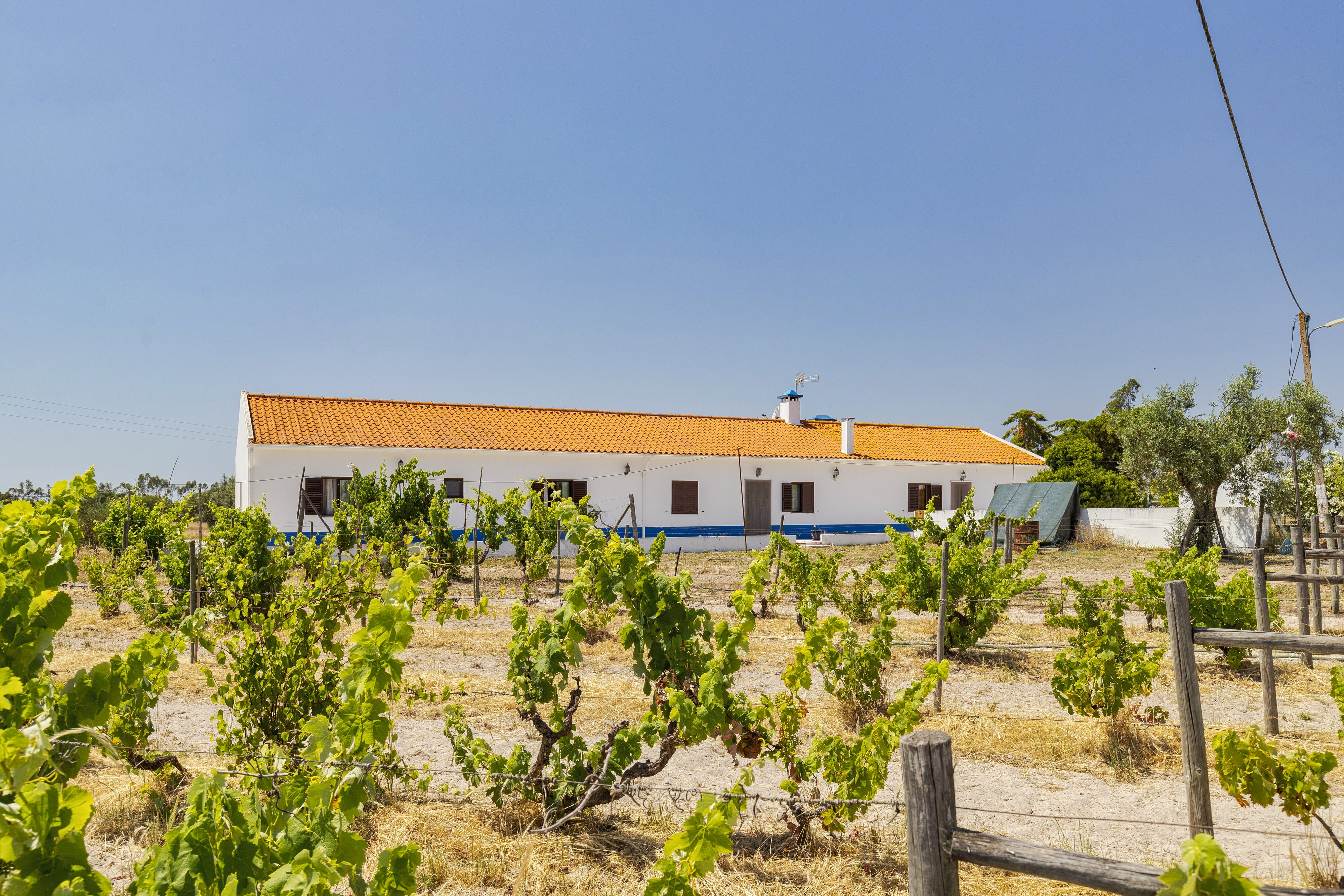 Alentejo Country Estate in Grândola