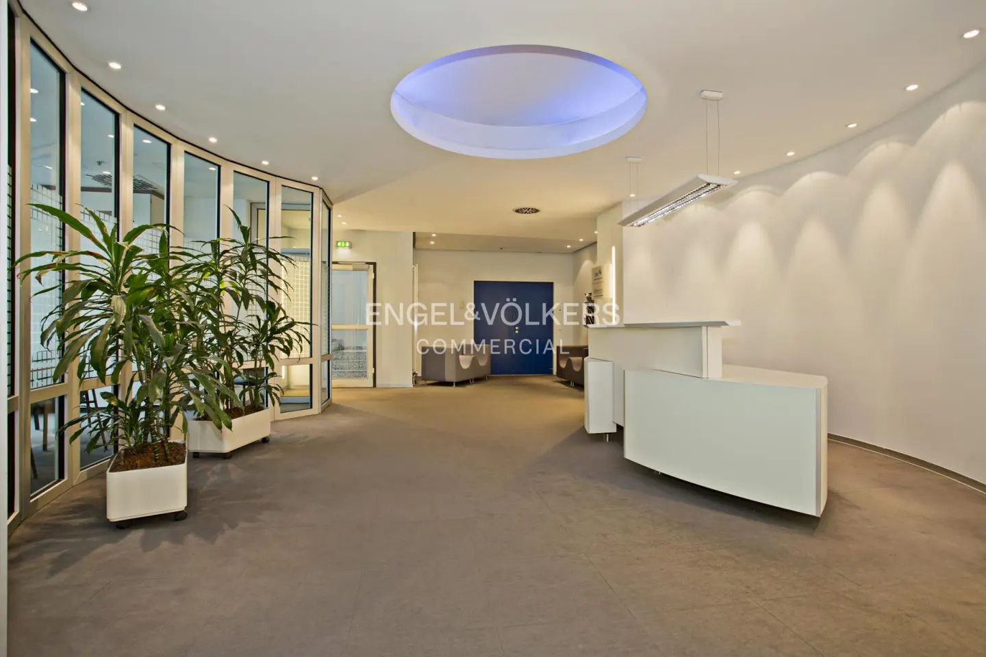 Bright, modern office lobby with curved glass wall, potted plants, and a white reception desk under a blue-lit circular ceiling fixture.