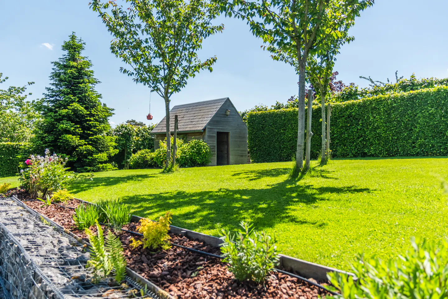 A lush green lawn with a small wooden shed, trees, and a hedge under a blue sky.