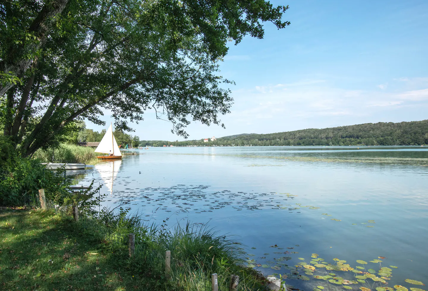 Lake view with a sailboat, lily pads, and green trees under a blue sky.