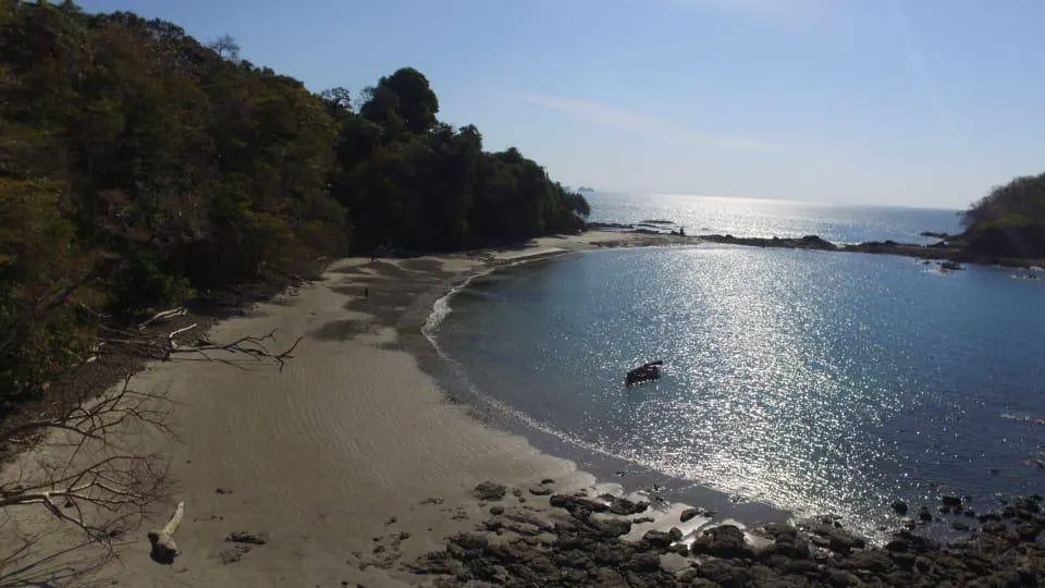 Aerial view of a sandy beach cove with blue water, green trees, and a clear sky.