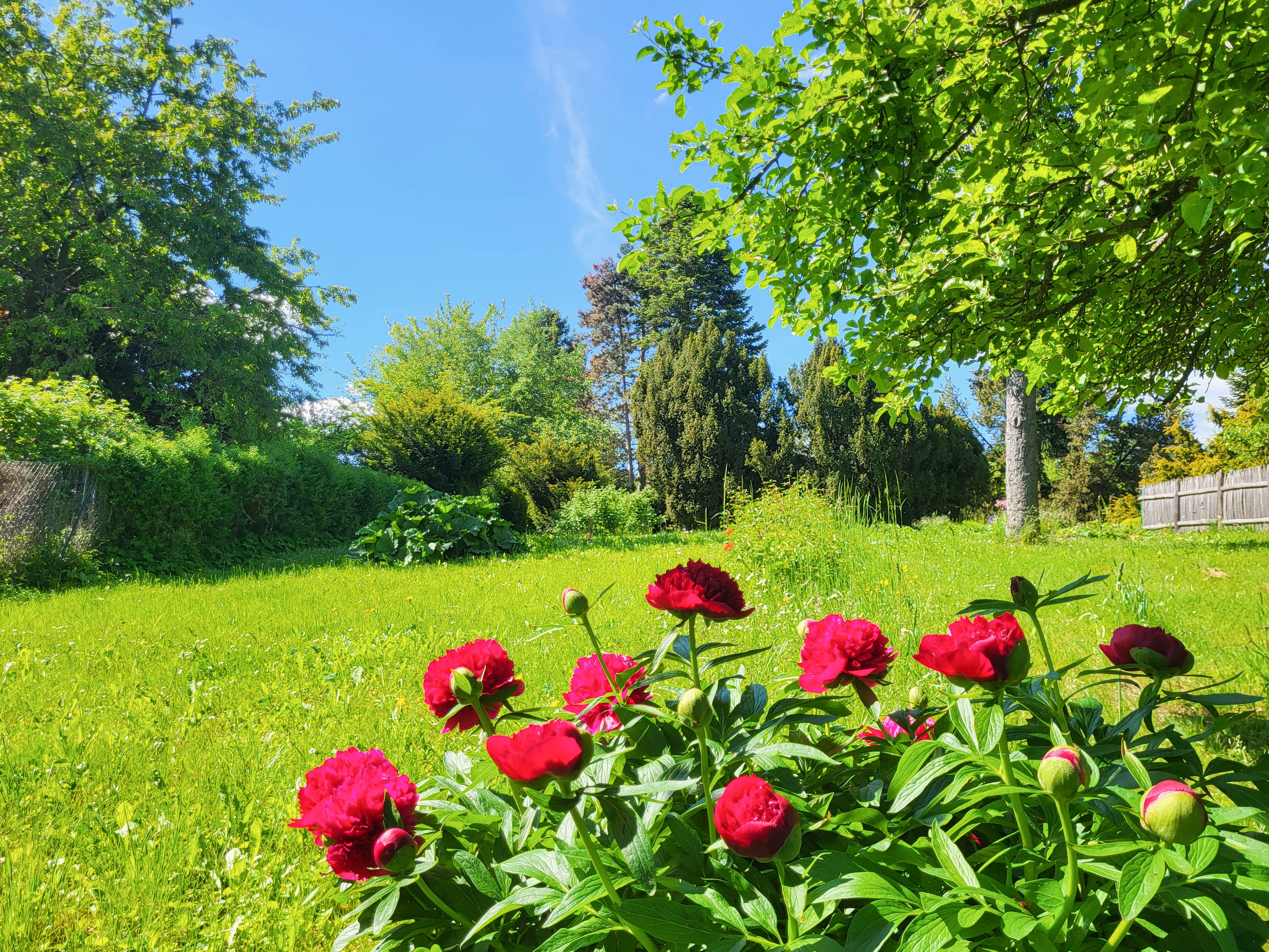 Naturparadies in Ehringsdorf - Gartentraum auf 2.515 m²